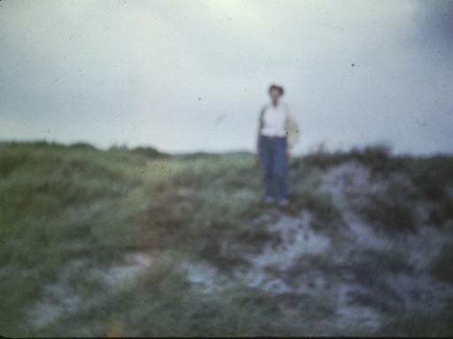 A Figure in a Field